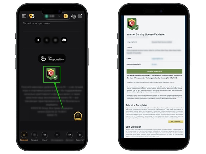 Статус казино