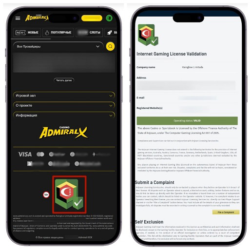 Проверка лицензии