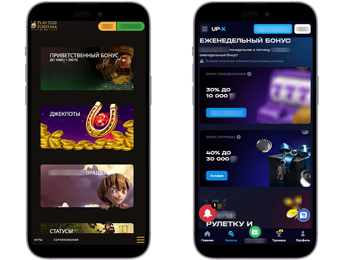 Бонусная программа