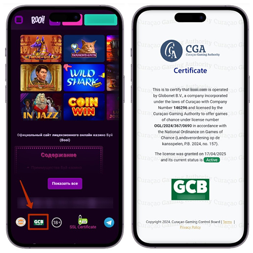 Проверка лицензии