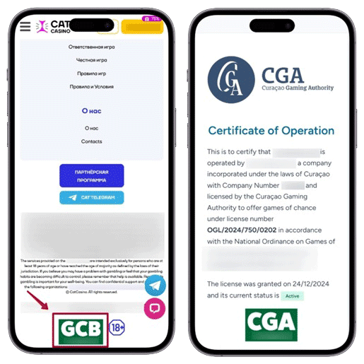 Проверка лицензии