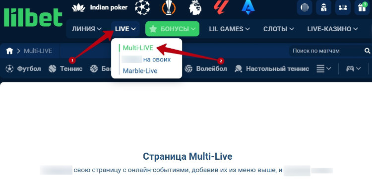 Мультилайв
