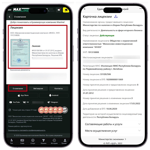 Проверка лицензии