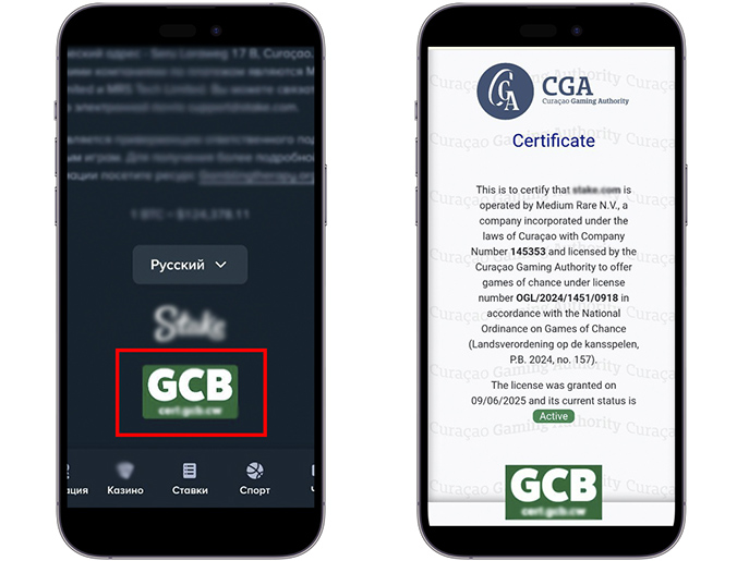 Проверка лицензии