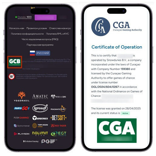 Проверка лицензии