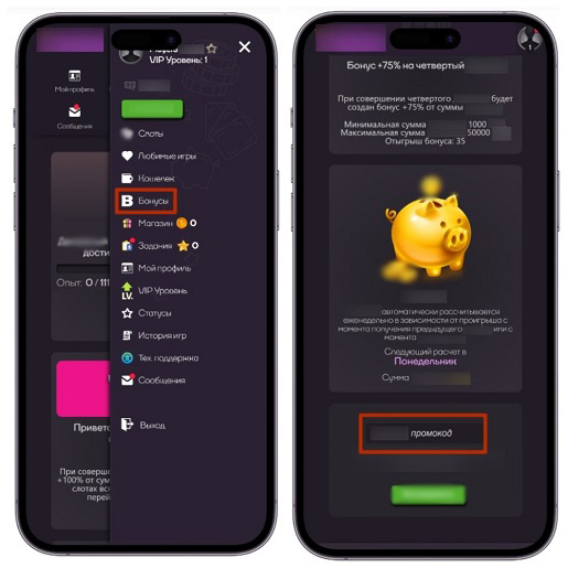 Раздел с бонусами