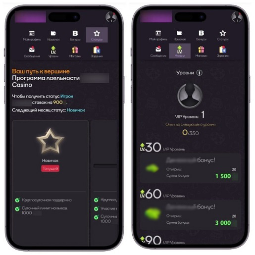 Просмотр прогресса в программе лояльности